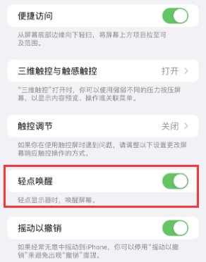 九龙苹果授权维修站分享iPhone轻点无法唤醒怎么办 