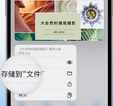 九龙apple维修中心分享iPhone文件应用中存储和找到下载文件