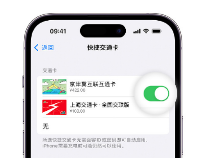 九龙apple维修点分享iPhone上更换Apple Pay快捷交通卡手绘卡面 