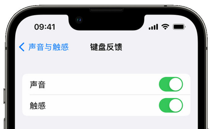 九龙苹果手机维修分享iPhone 14触感键盘使用方法 