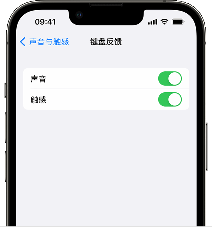 九龙苹果14维修店分享如何在 iPhone 14 机型中使用触感键盘 