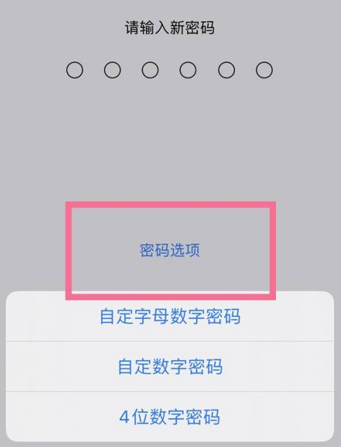 九龙苹果14维修分享iPhone 14plus设置密码的方法 