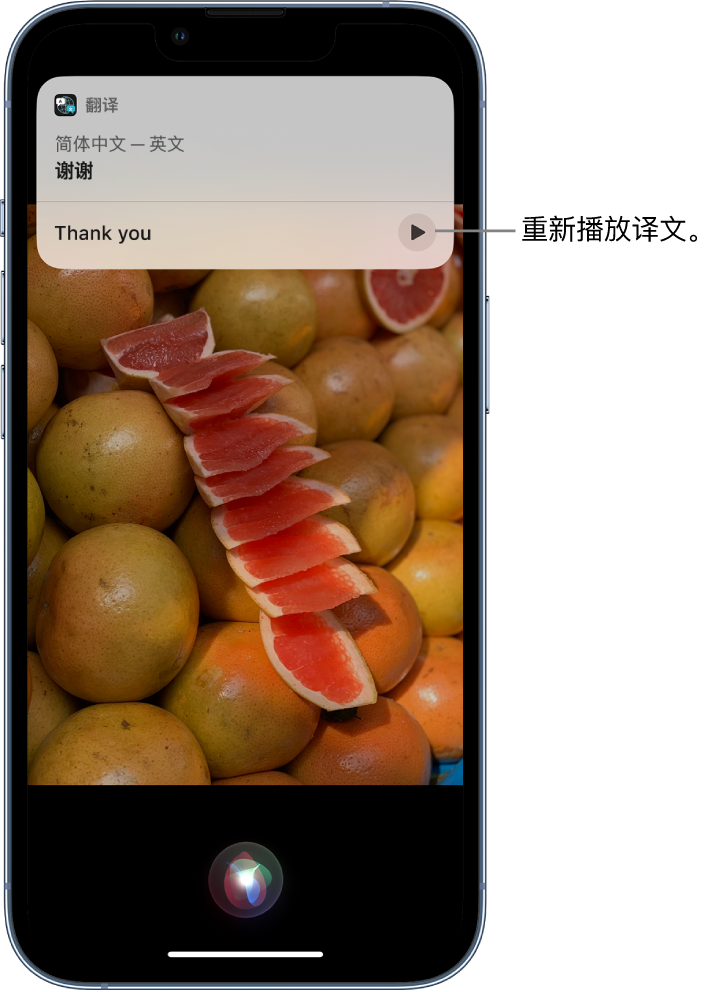 九龙苹果14维修分享 iPhone 14 机型中使用 Siri：了解 Siri 能帮你做什么 