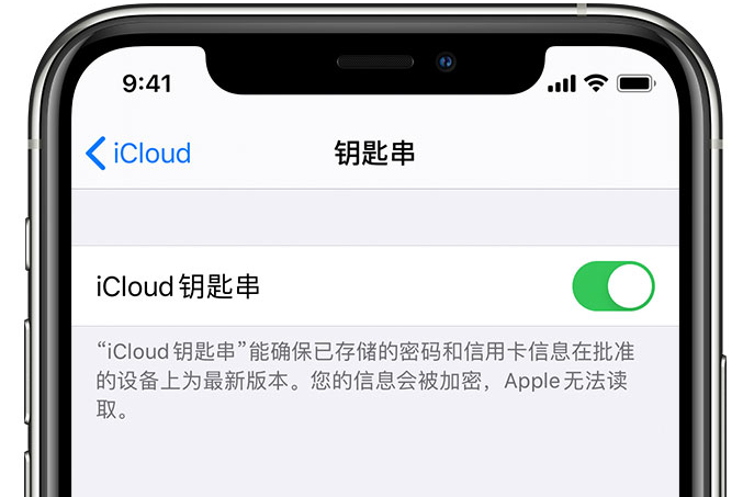 九龙苹果手机维修分享在 iPhone 上开启 iCloud 钥匙串之后会储存哪些信息 