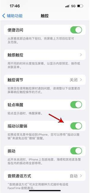 九龙苹果手机维修分享iPhone手机如何设置摇一摇删除文字 