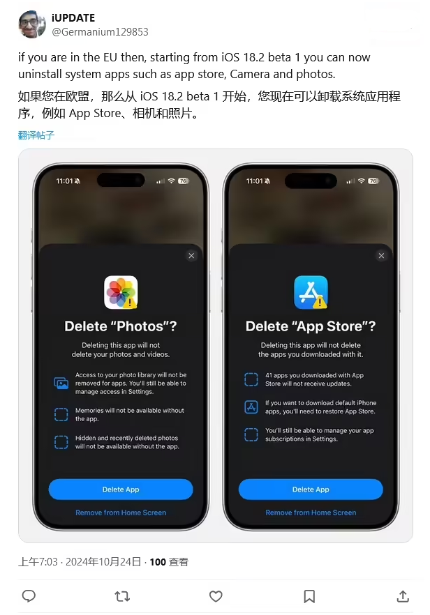 九龙苹果手机维修分享iOS 18.2 支持删除 App Store 应用商店 